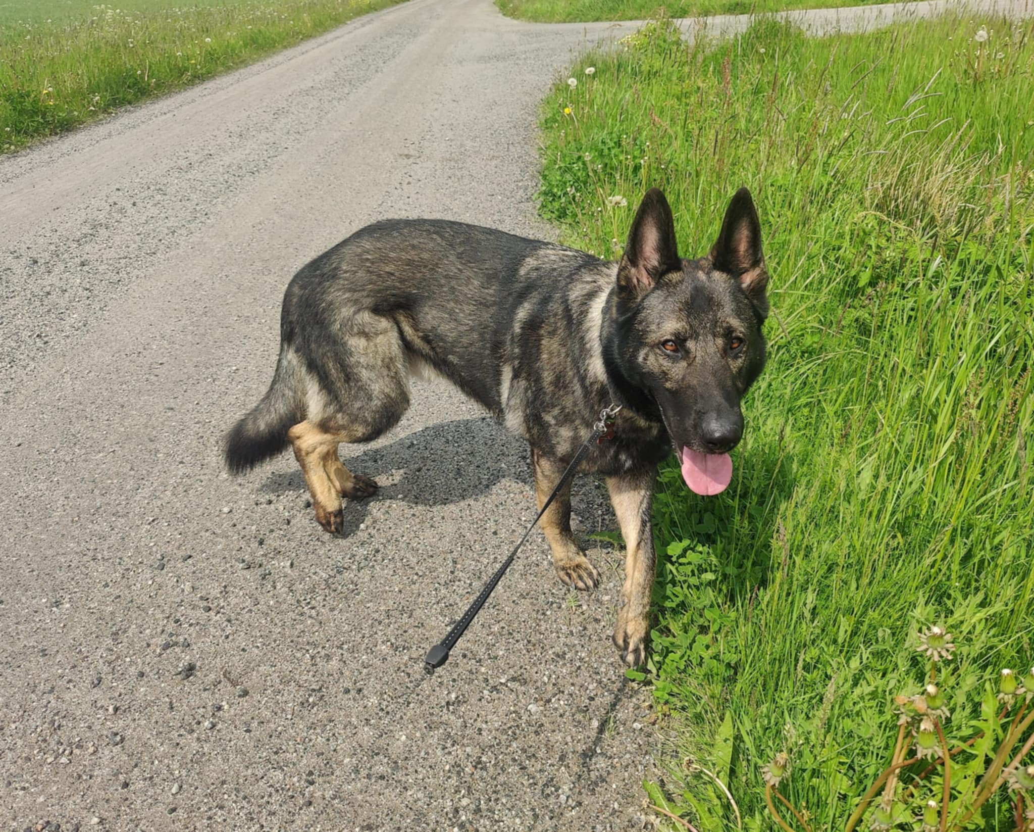 Työssä Savu