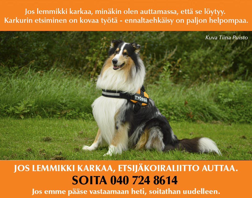 Jos lemmikki karkaa 2017 v3